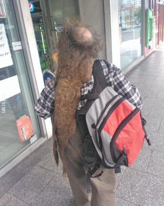 5298_pozostale-dredy.jpg