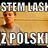 Użytkownik Metalhorsie