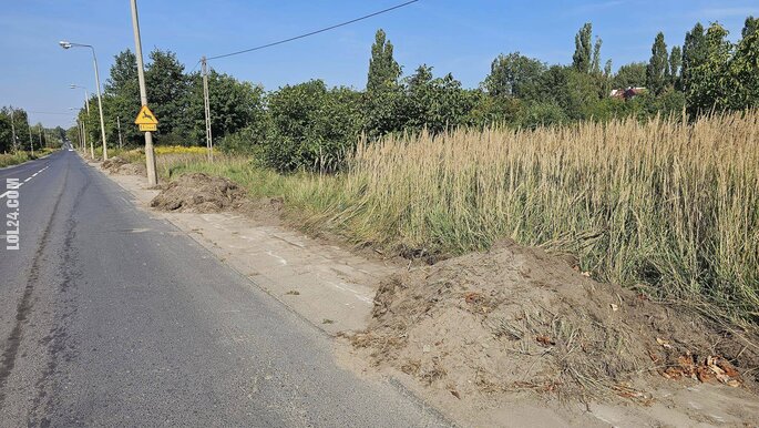 ciekawostka : Łódź: Drogowcy odkryli, że przy Pomorskiej jest chodnik i go odkopali!