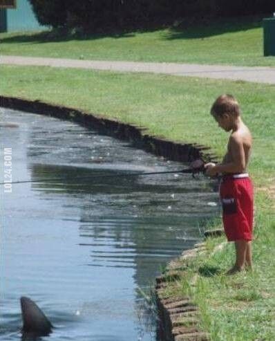 dzieciak : rekin w rzece