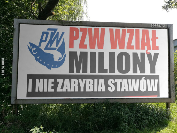 napis, reklama : PZW wziął miliony i nie zarybia stawów