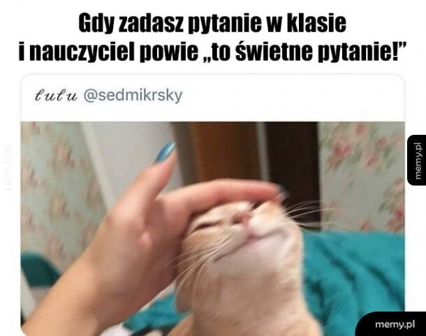 MEM : Świetne pytanie