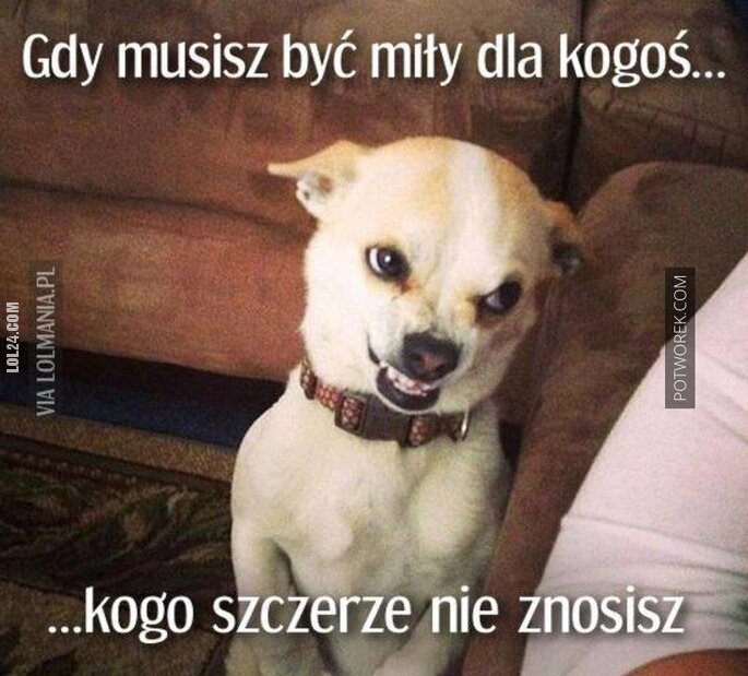 MEM : Gdy jesteś miły dla kogoś kogo nie lubisz