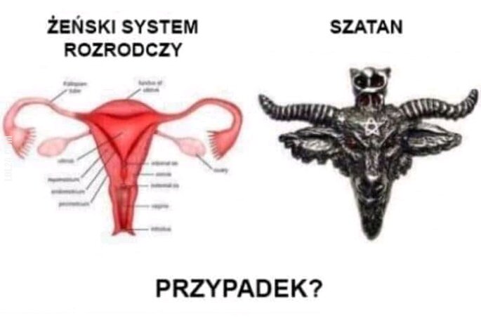 MEM : Przypadek?