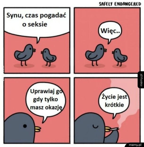 MEM : Używaj