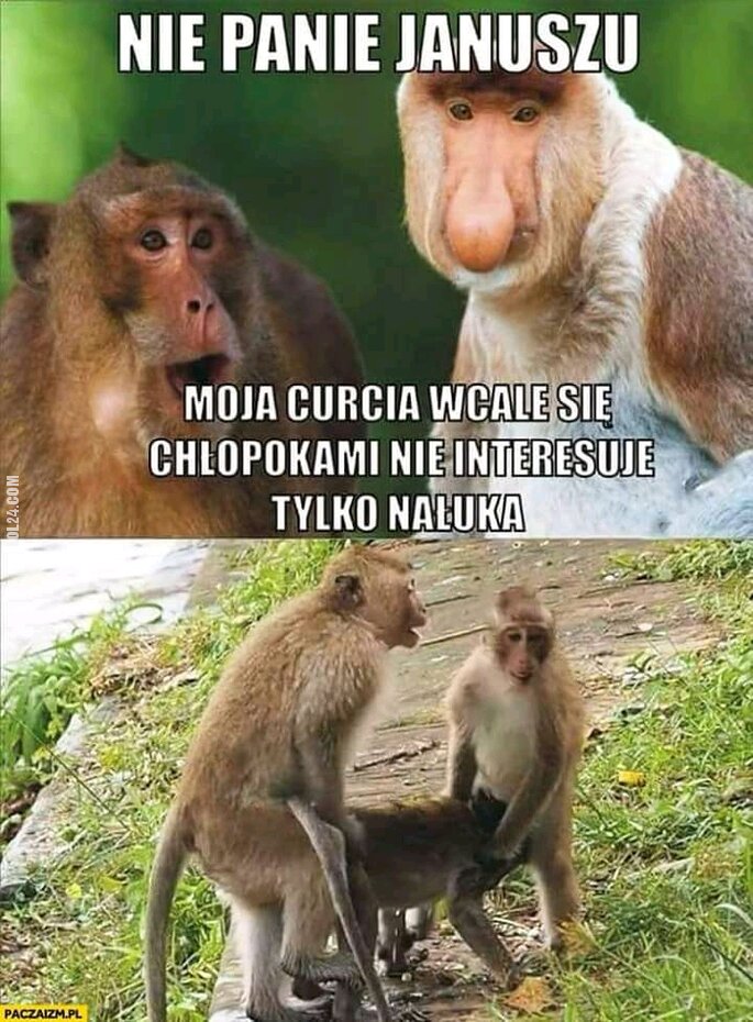 MEM : Moje dziecko...