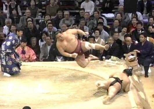 sport : Lot sumo