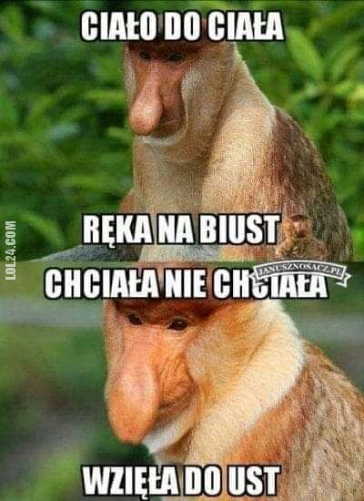 MEM : Chciała nie chciała...