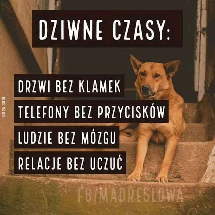 MEM : Dziwne czasy