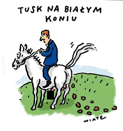 satyra : Tusk na białym koniu