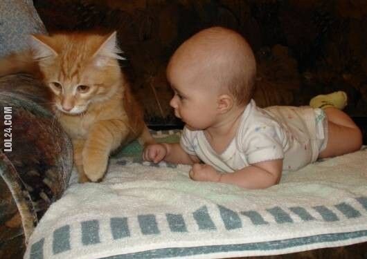 urocza, słodka : Kotek i dzieciak