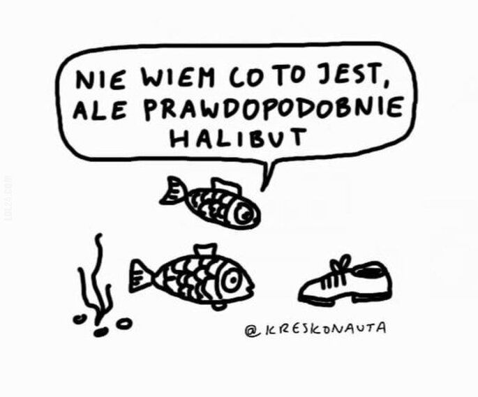 MEM : Halibut