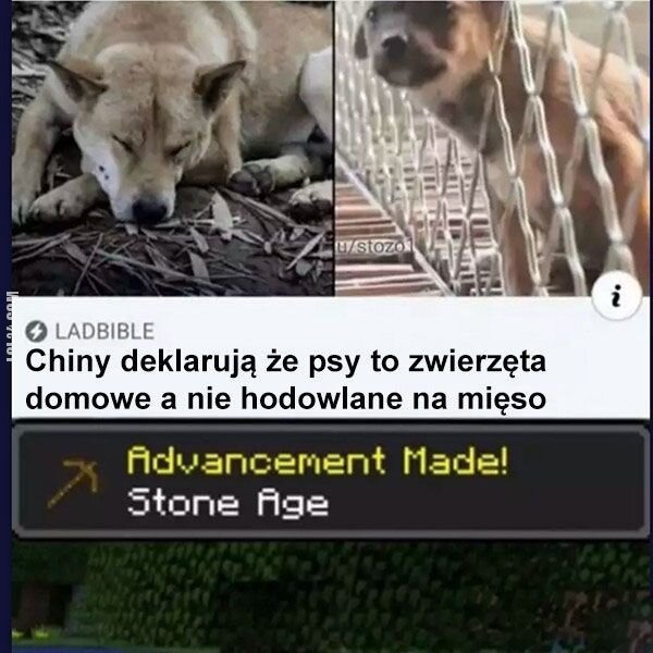 MEM : Nareszcie jakiś postęp w Chinach 😜