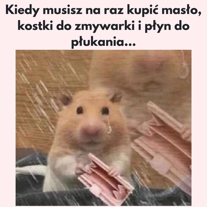 MEM : Wydatki 🥲