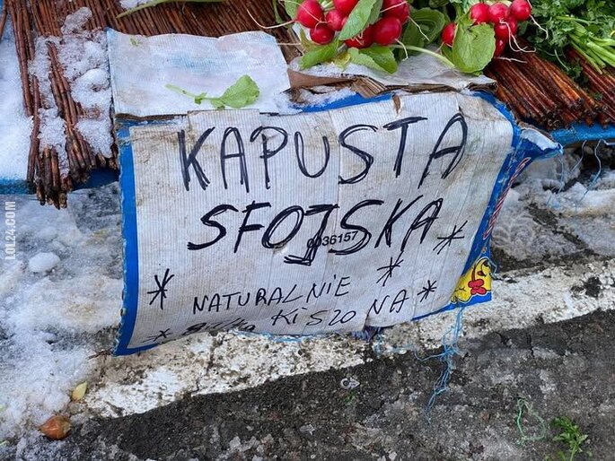napis, reklama : "Kapusta sfojska"