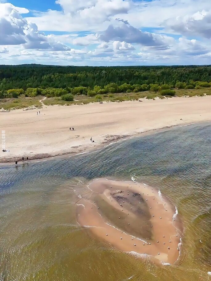 złudzenie : Najnowsze odkrycie na plaży w Mikoszewie