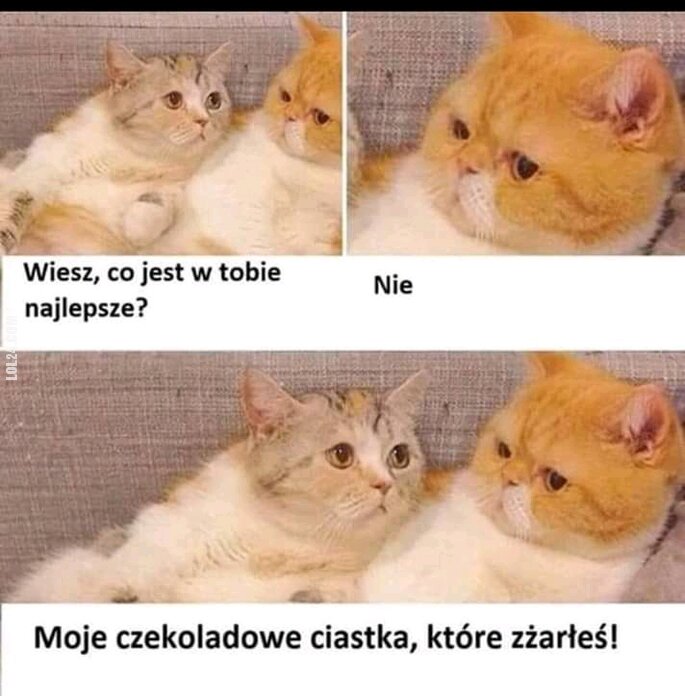 MEM : Najlepsze?