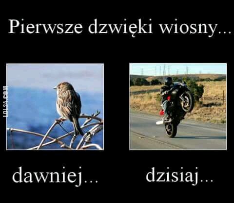 MEM : Pierwsze dźwięki wiosny...