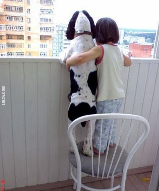 dzieciak : pies z dzieckiem wyglądają przez balkon