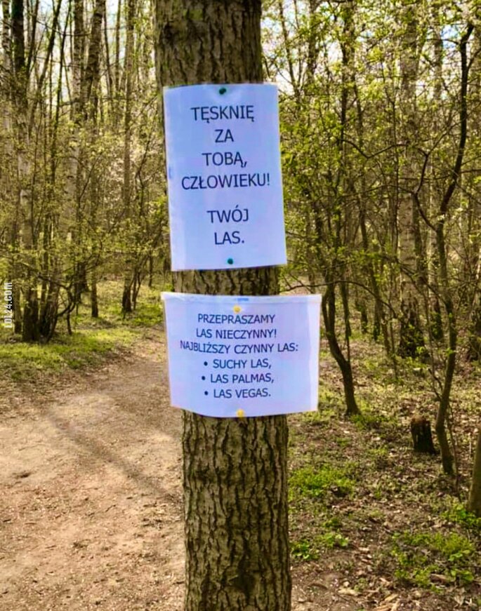 napis, reklama : Zawsze znajdzie się jakiś las...