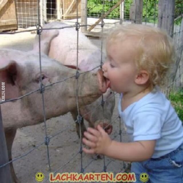dzieciak : świnka i buziak