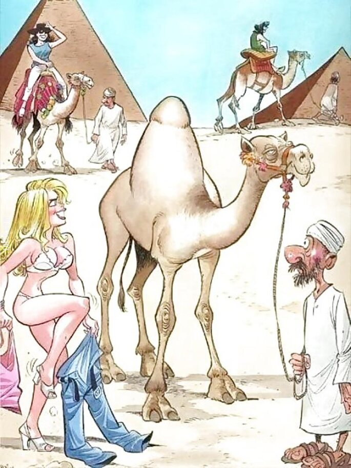 seksowna : Wielbłąd