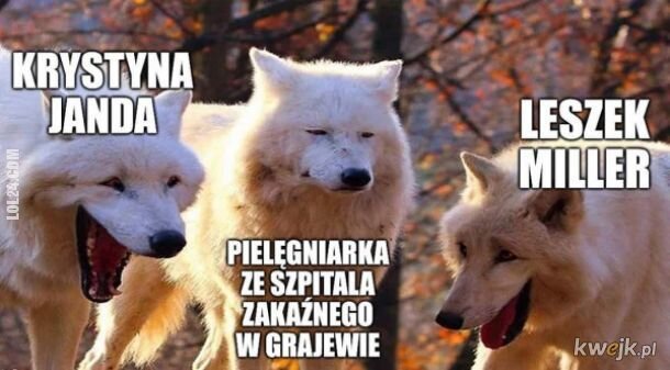 MEM : Szczepienia