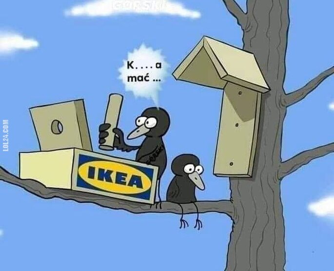 zwierzak : meble z Ikea