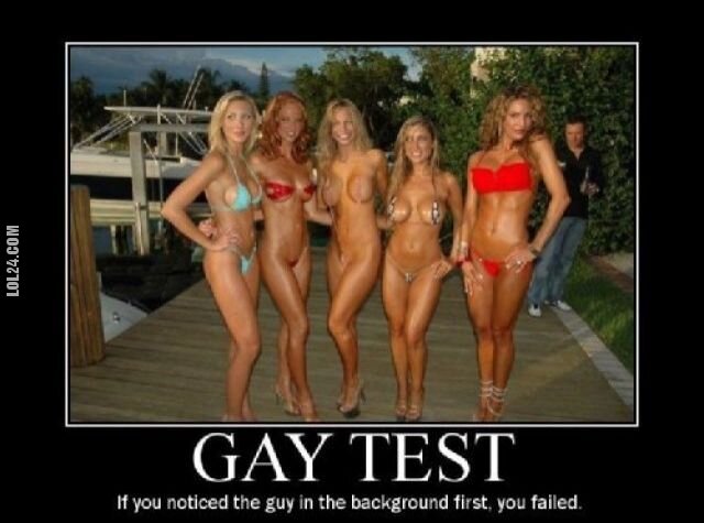 napis, reklama : Gay Test