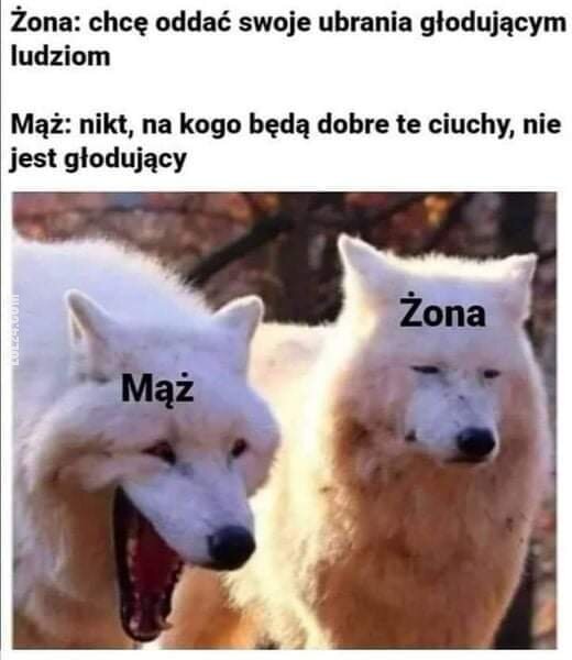 MEM : Mąż  i żona