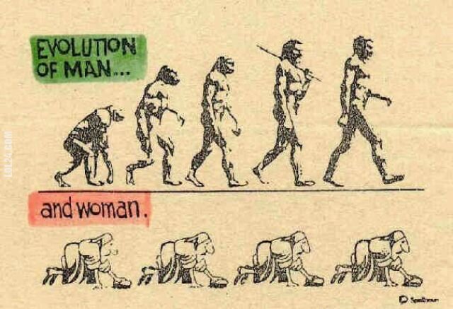 rysunek : Ewolucja