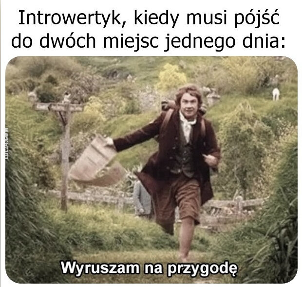 MEM : Introwertyk