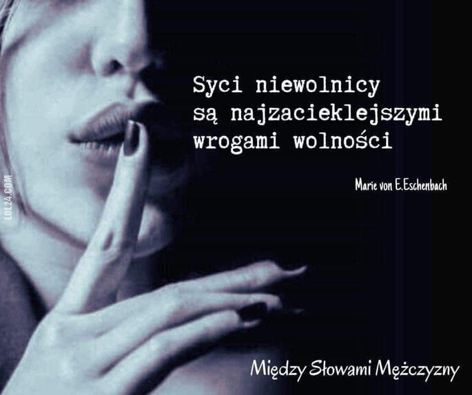 MEM : Syci niewolnicy