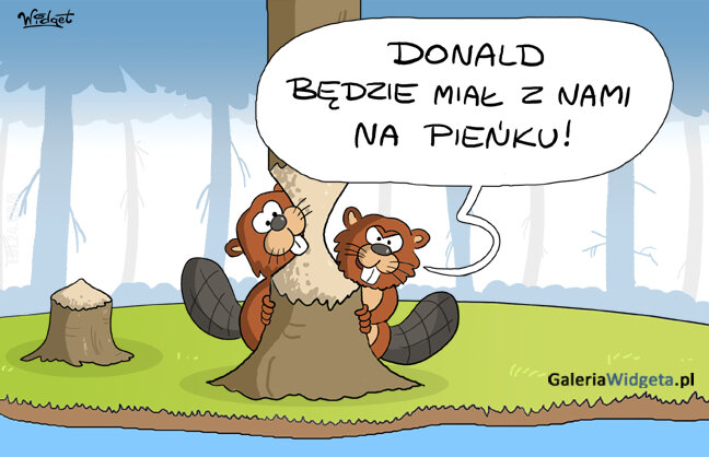 polityka : Donald - konflikt z bobrami