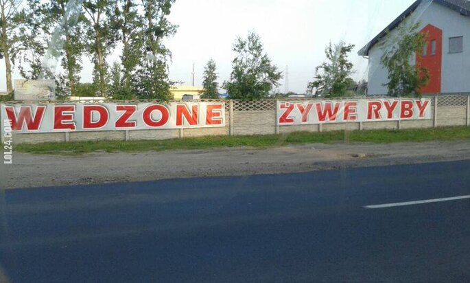 napis, reklama : Wędzone żywe ryby