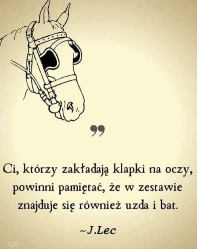 ciekawostka : Klapki na oczach