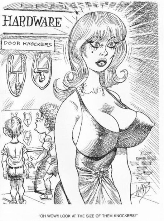 rysunek : Rzecz o rozmiarach kołatek...