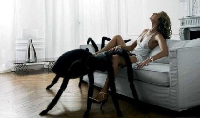 kobieta : kobiety boją się pająków?