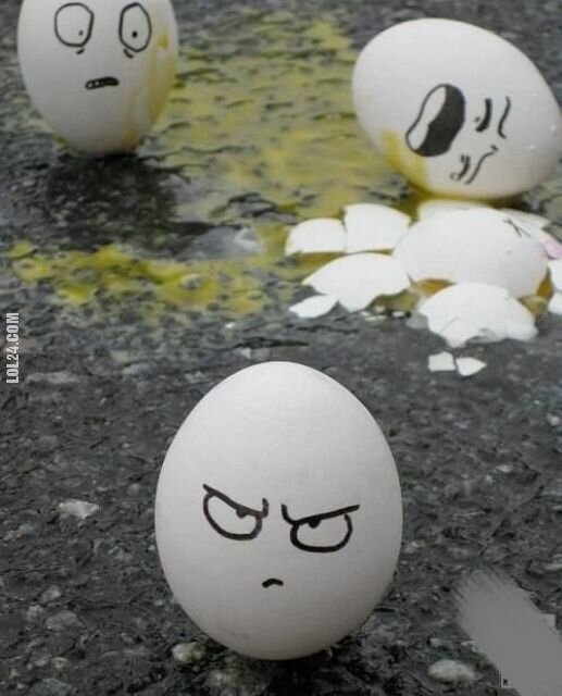 inne : To jaja są...