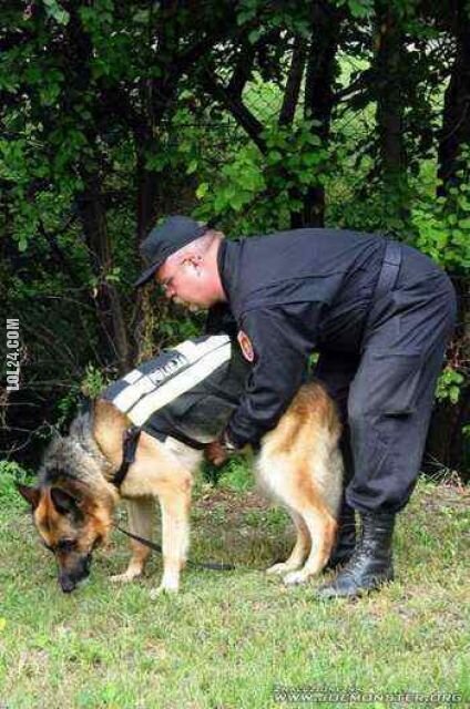zwierzak : Pies Policyjny