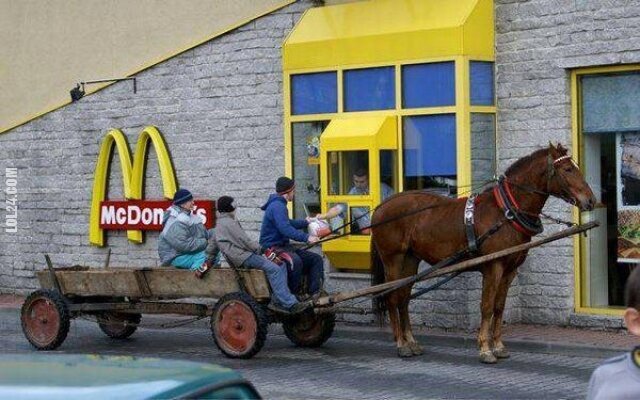 motoryzacja : Furmanką do McDonalda