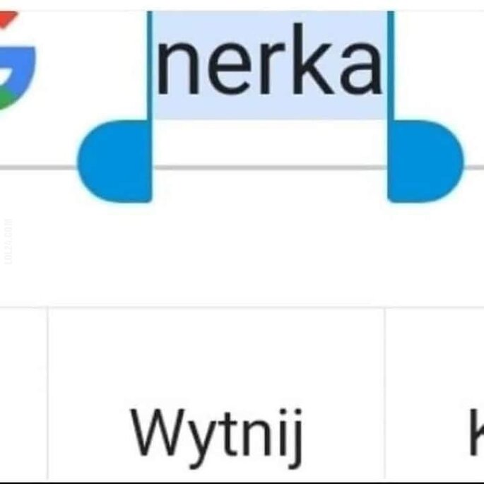 MEM : Nerka