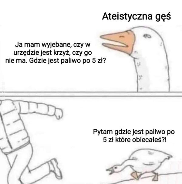 MEM : Wróćmy do paliwa