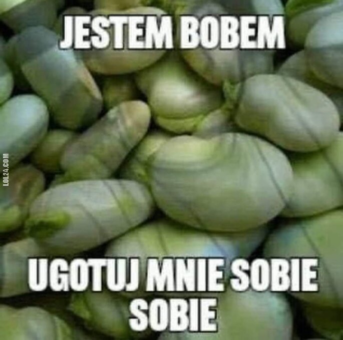 MEM : Jestem bobem