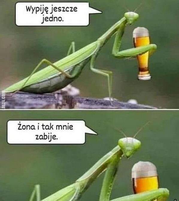 MEM : Wypije jeszcze jedno