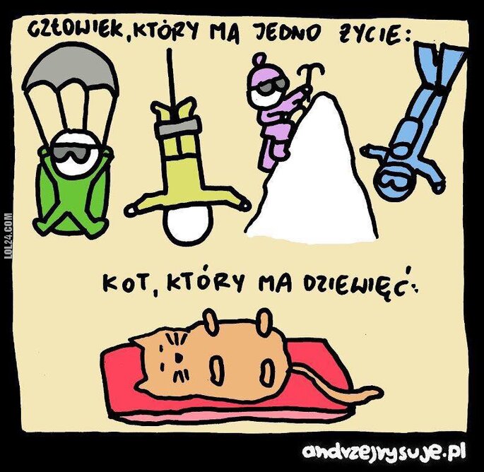 MEM : Człowiek, który ma jedno życie, a kot