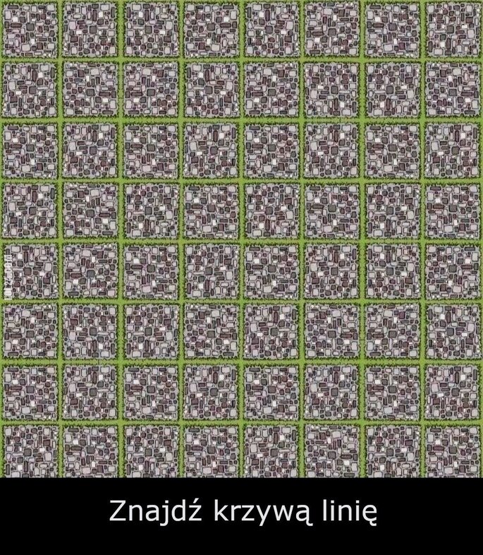 złudzenie : Znajdź krzywą linię