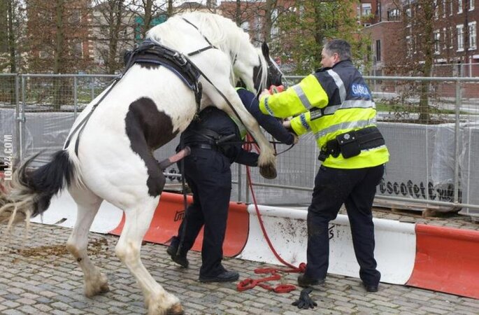 FAIL : Zły dzień w pracy Policjanta