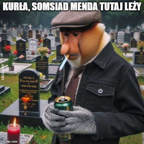 MEM : Sąsiad na cmętarzy