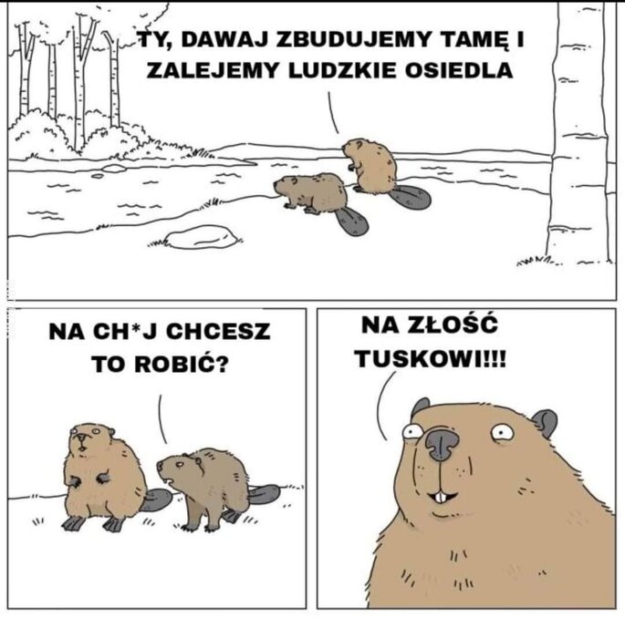 MEM : Tuskowi na złość